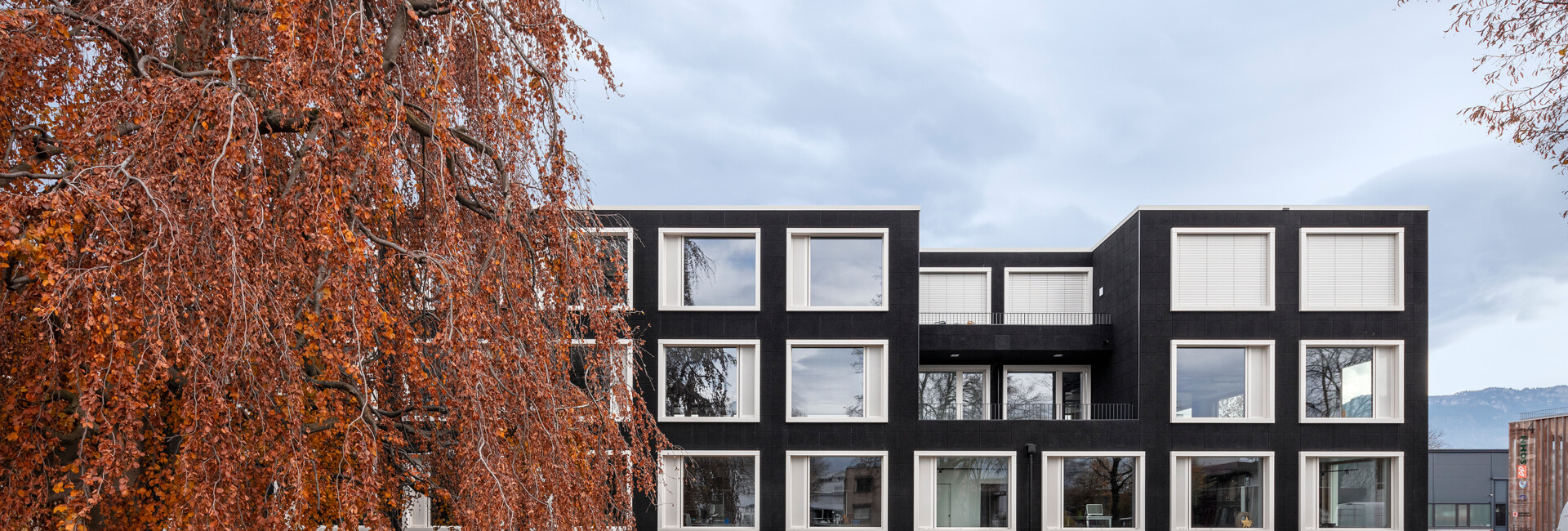 microlife-company-building